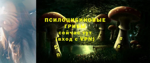 дмт Белокуриха