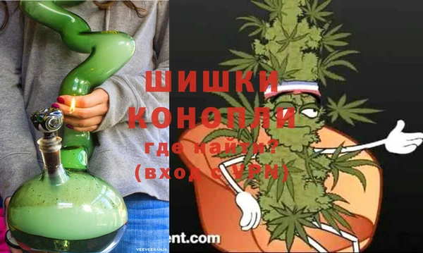 дмт Белокуриха