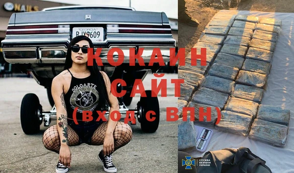 дмт Белокуриха