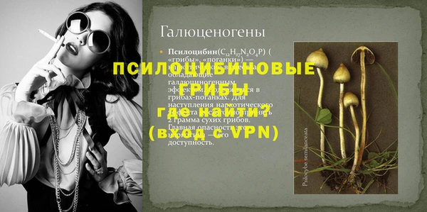 дмт Белокуриха