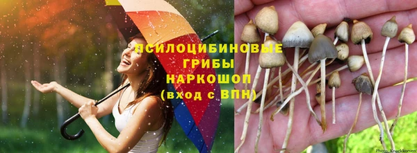a pvp Беломорск