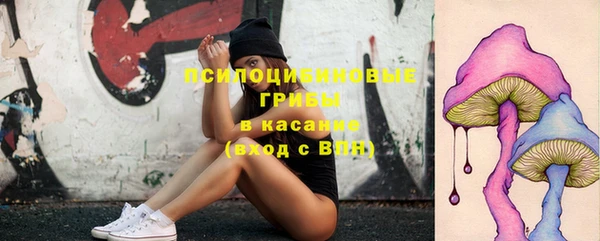 a pvp Беломорск