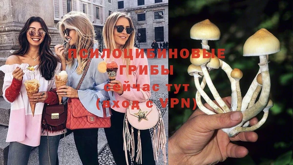 a pvp Беломорск