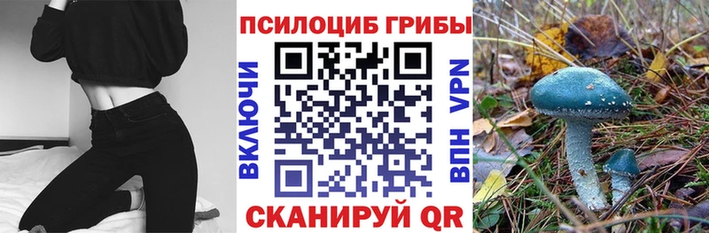 Псилоцибиновые грибы прущие грибы  закладка  Малая Вишера 